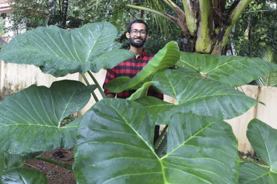 Father And Son Grow Vegetable Garden To Feed Neighbours During Pandemic In India