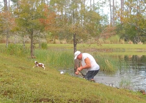 Man Rescues Puppy From Jaws Of Alligator In Florida