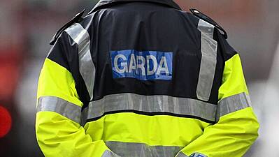 Gardaí Arrest Extinction Rebellion Protester Outside Dáil In Dublin