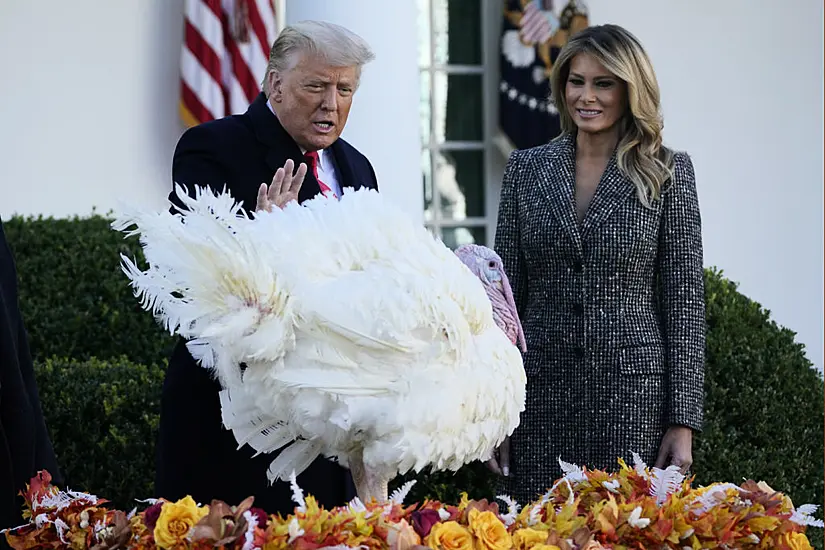 Trump Gives Thanks For Covid Vaccines As Thanksgiving Turkeys Reprieved