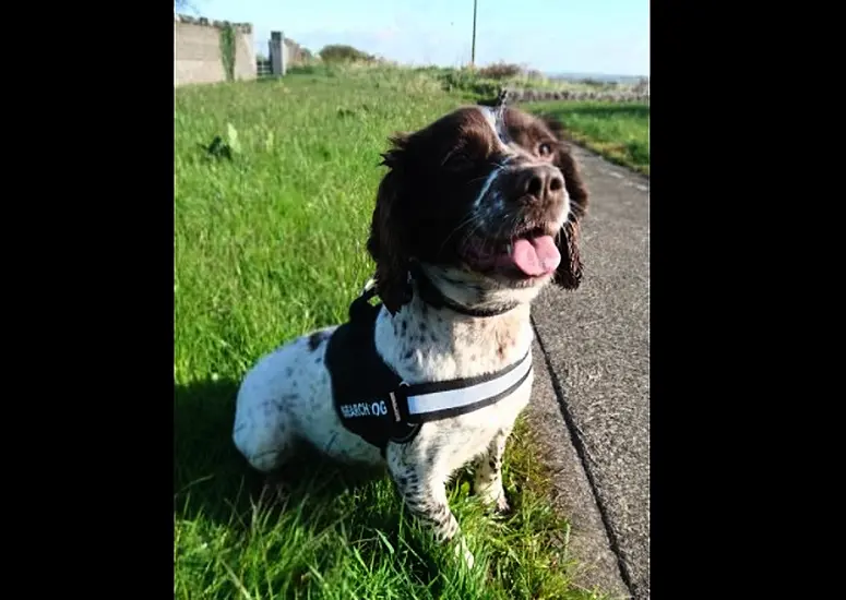 Revenue Seize 5.5M Cigarettes With Help Of Detector Dog Kelly