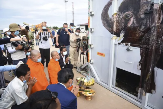 ‘World’s Loneliest Elephant’ Arrives Safely In Cambodia