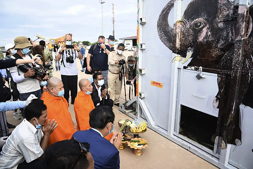 ‘World’s Loneliest Elephant’ Arrives Safely In Cambodia