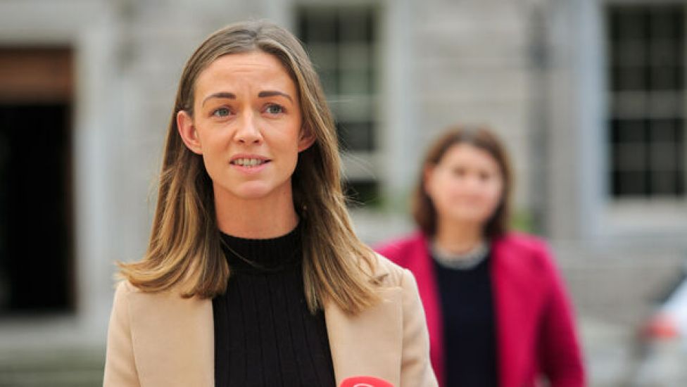 Fg Td Apologises To Holly Cairns After Liking 'Ignorant Little Girl' Tweet