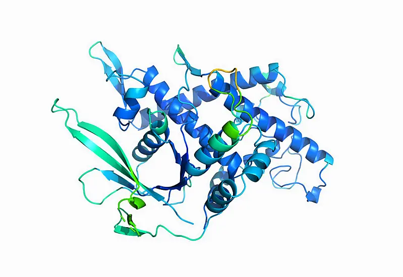 Ai Cracks 50-Year-Old ‘Protein Folding Problem’, Say Researchers