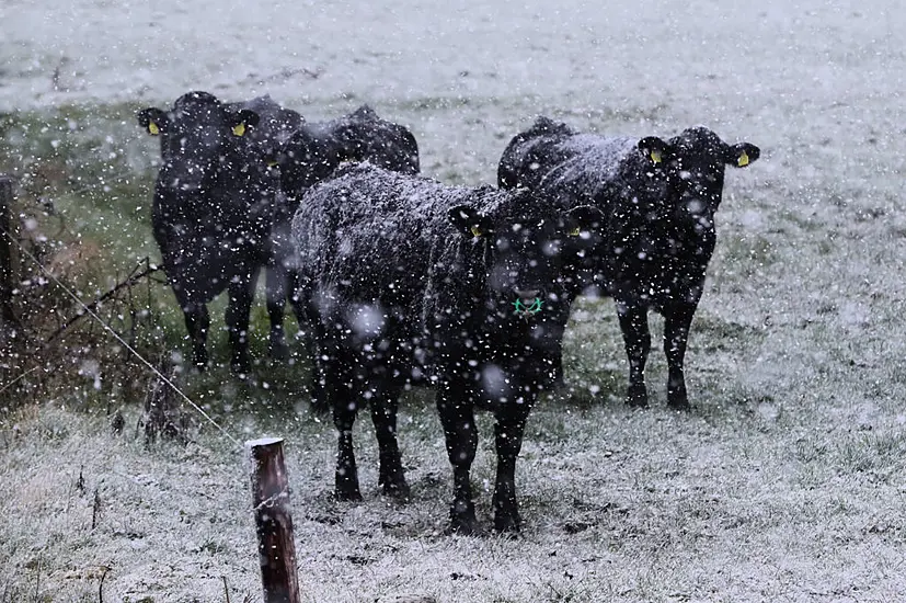 Snow And Ice Warning Issued For 18 Counties