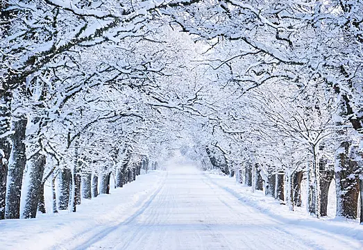 Seven Weird And Wonderful Things You Didn’t Know About Snow