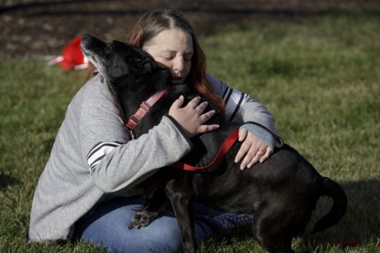 Dog Reunited With Owners Three Years After Going Missing