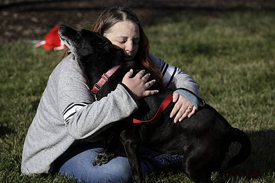 Dog Reunited With Owners Three Years After Going Missing