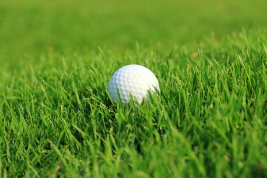 Golfer Says He Had No Reason To Shout Fore But Spectator Sues After Being Hit By Ball