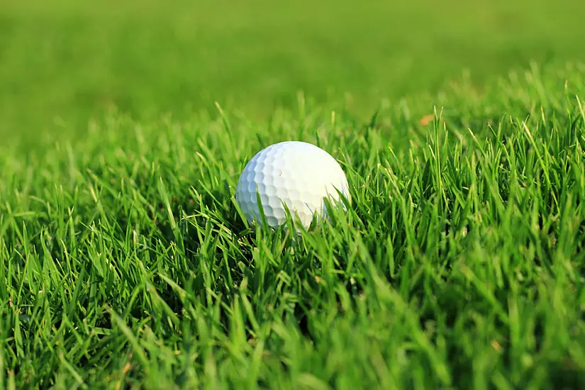 Golfer Says He Had No Reason To Shout Fore But Spectator Sues After Being Hit By Ball