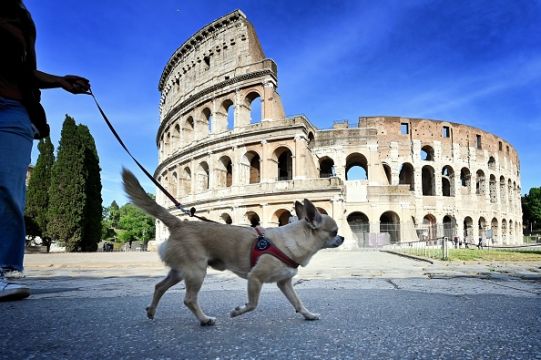 Italian City Puts Pooches First With Pet-Friendly Planning Scheme