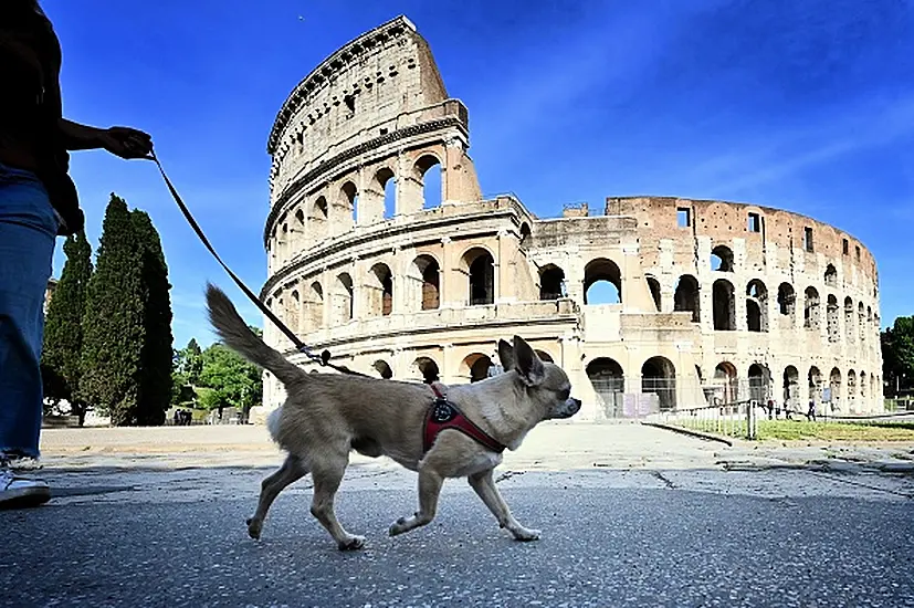 Italian City Puts Pooches First With Pet-Friendly Planning Scheme