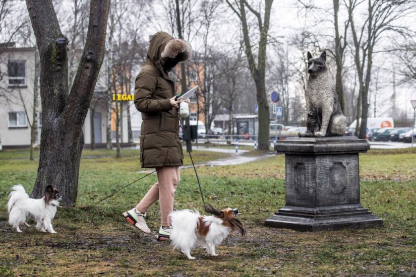Estonians Erect Statue And Give Home To Beloved Stray Dog