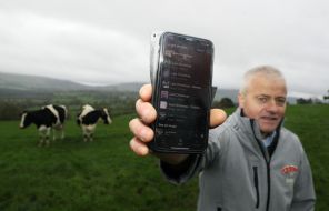 Playing Christmas Carols To Cows Reduces Carbon Footprint, Irish Farmer Says