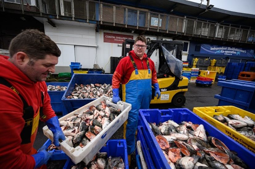 Brexit: Eu Considers New Proposal On Fishing Rights From Uk