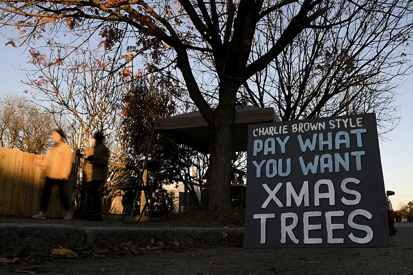 Scrawny Christmas Trees Lift Spirits And Raise Funds For School