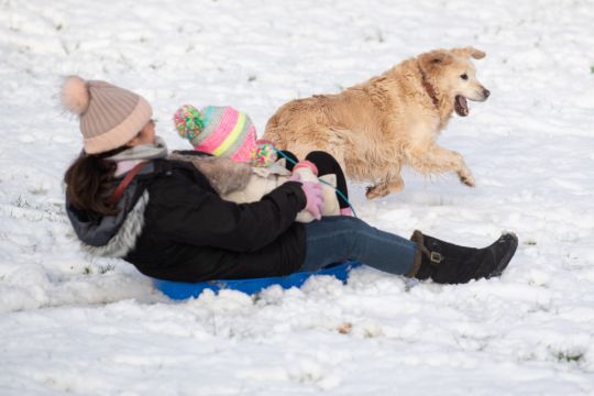 In Pictures: Frolics In The Snow As Cold Snap Hits Parts Of Uk