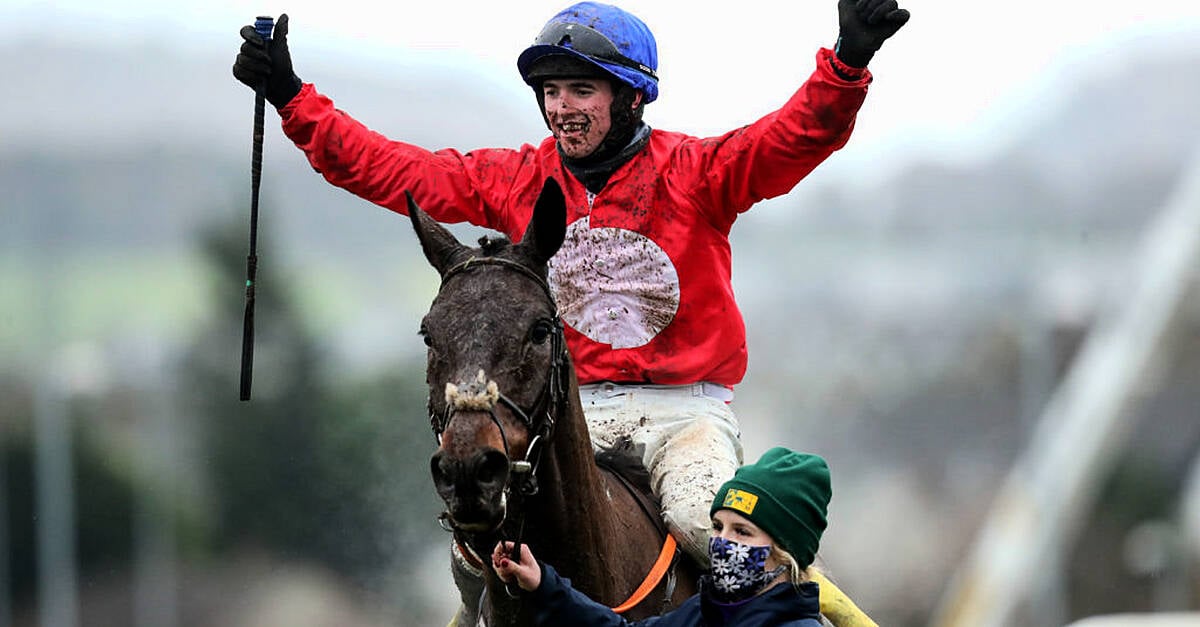 Leopardstown: Henry De Bromhead Horse Wins Savills Steeplechase