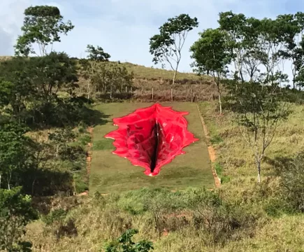 Giant Vagina Sculpture Fuels Culture Wars In Brazil