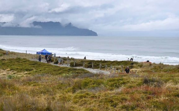 Woman Dies In Suspected Shark Attack In New Zealand