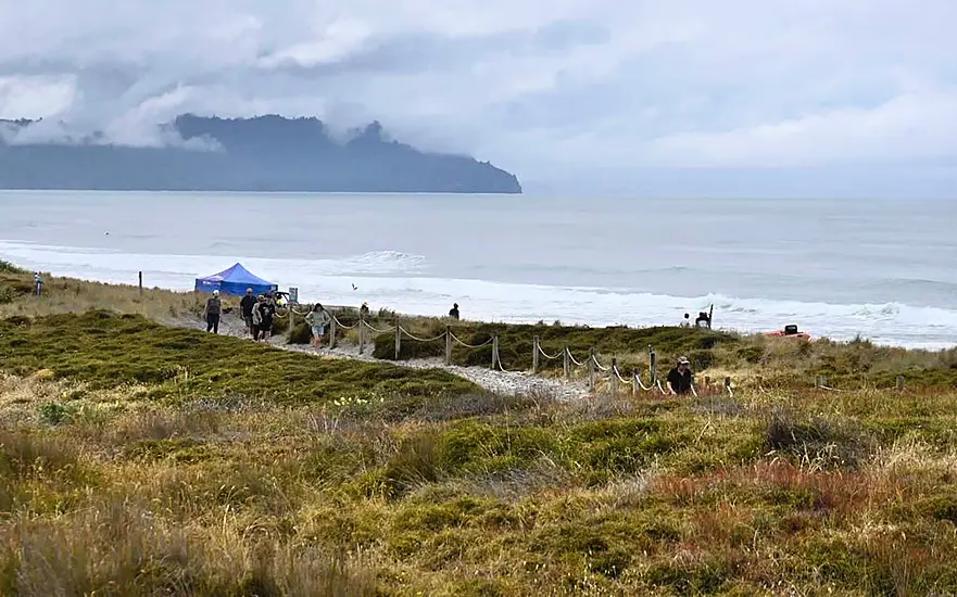 Woman Dies In Suspected Shark Attack In New Zealand