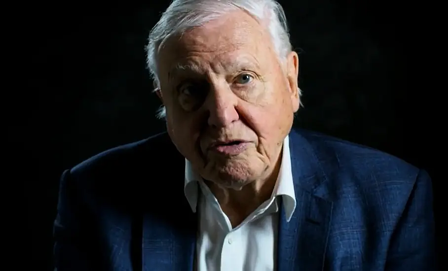 David Attenborough Reveals Why He Will Not Return To Instagram