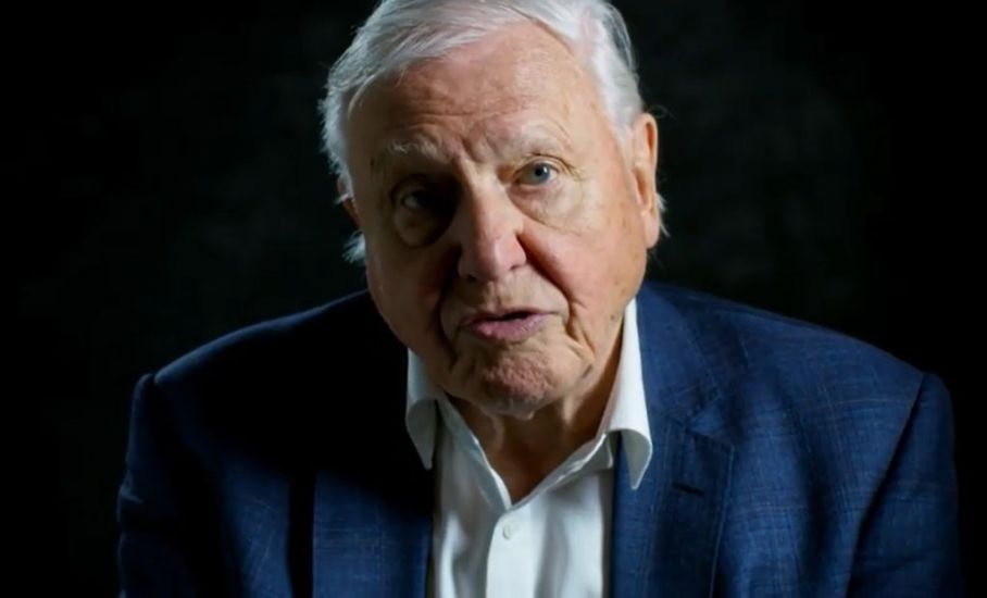 David Attenborough Reveals Why He Will Not Return To Instagram