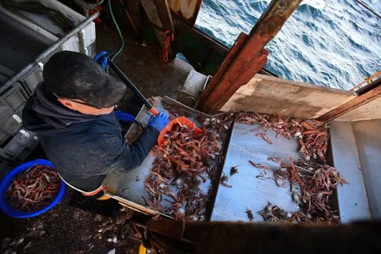 Scottish Seafood Exporters Dealt New Post-Brexit Blow