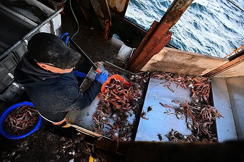 Scottish Seafood Exporters Dealt New Post-Brexit Blow