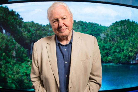 David Attenborough Receives Covid-19 Jab