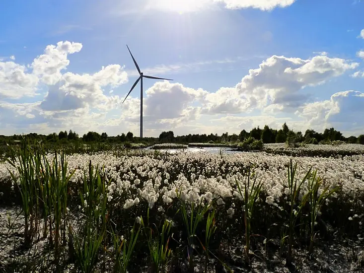 Bord Na Móna Formally Ends All Peat Harvesting