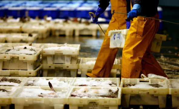 Scottish Fishermen Land Fish In Denmark To Avoid Post-Brexit Red Tape