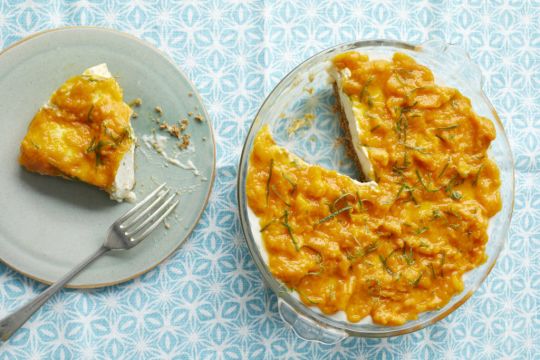 Mango And Cashew Vegan Cheesecake Recipe