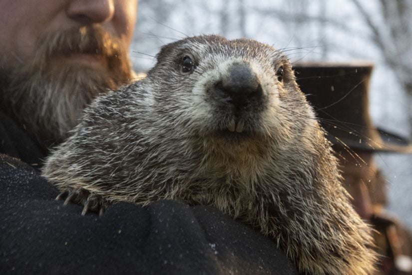 It’s Groundhog Day In A Time Of Pandemic