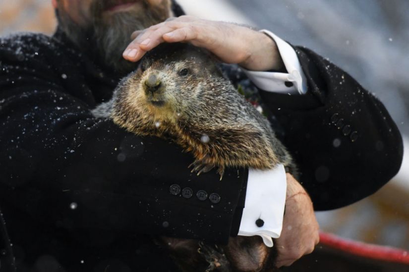 Groundhog Day: Punxsutawney Phil Predicts Six More Weeks Of Winter