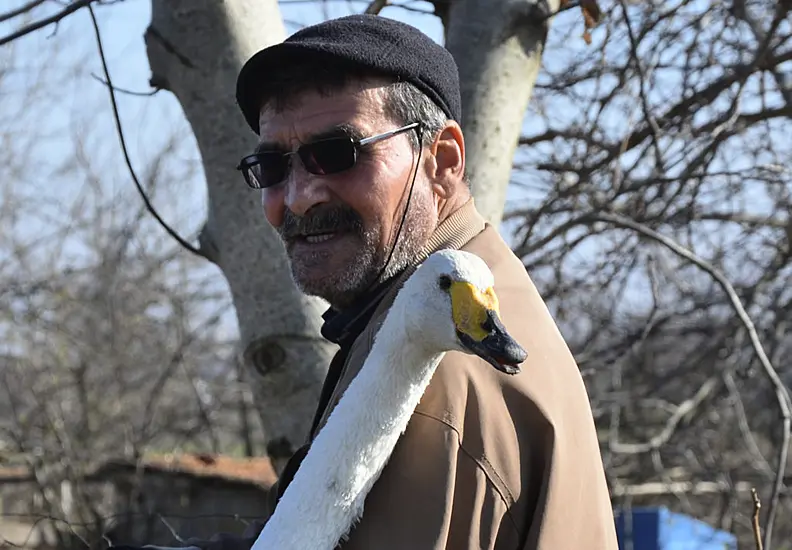 Turkish Man Strikes Up 37-Year Friendship With Swan