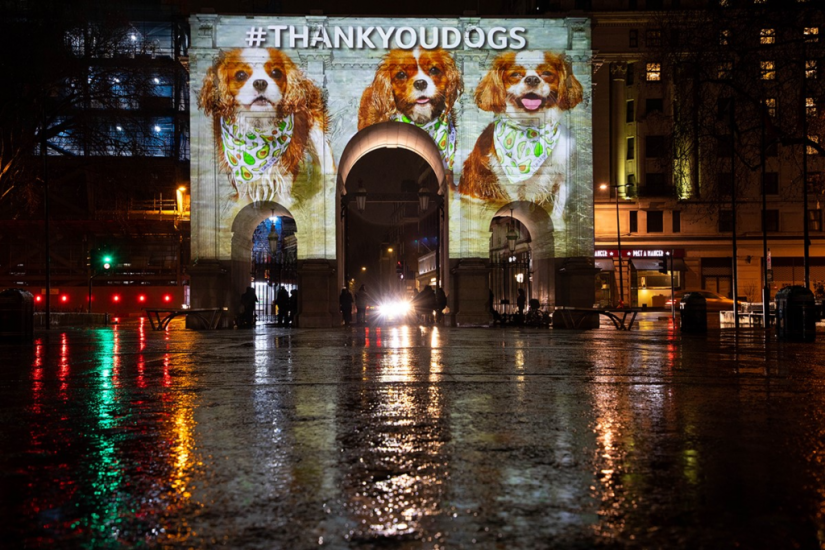 Projections On London Landmarks Thank Dogs For Lockdown Companionship