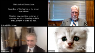 ‘I’m Not A Cat’: Lawyer Goes Viral For Accidental Kitten Filter