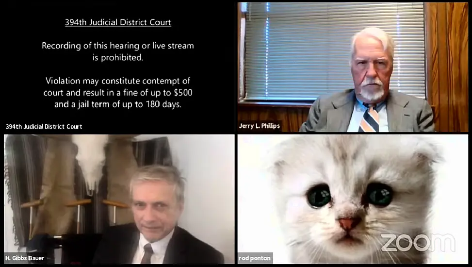 ‘I’m Not A Cat’: Lawyer Goes Viral For Accidental Kitten Filter