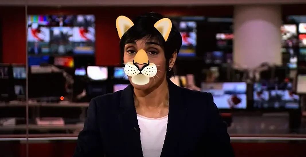 Newsreader Dons Cat Filter On Air After Lawyer’s Viral Zoom Mishap