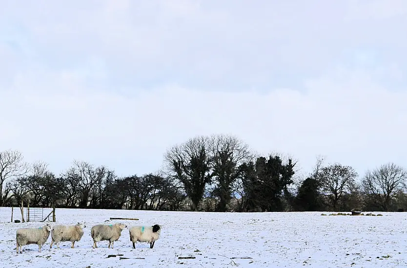 Snow And Ice Warning Issued As Cold Spell Set To Continue