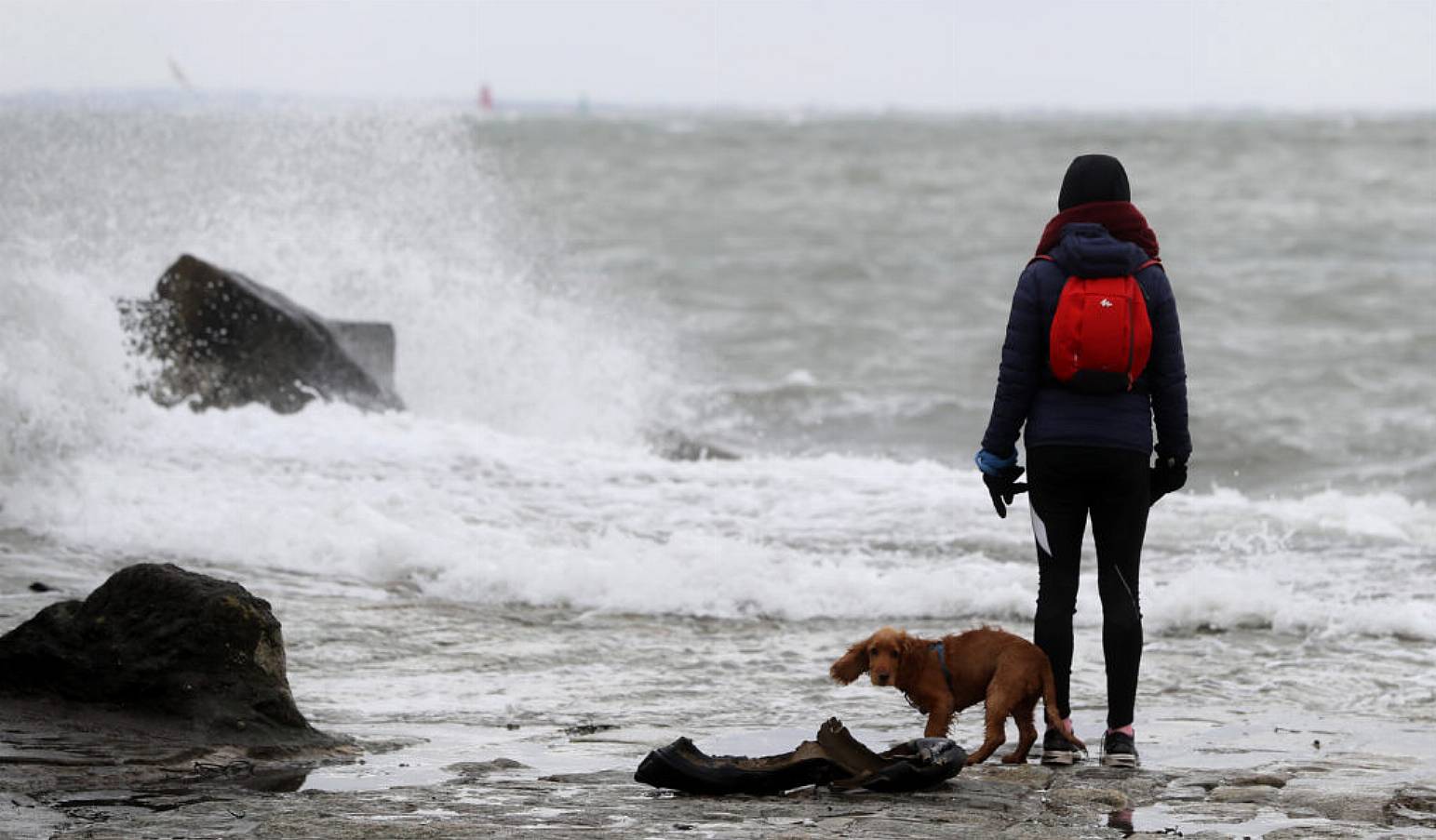 A Woman And A Dog Watch Waves Break At Seapoint In Dublin. Photo: Pa Images.