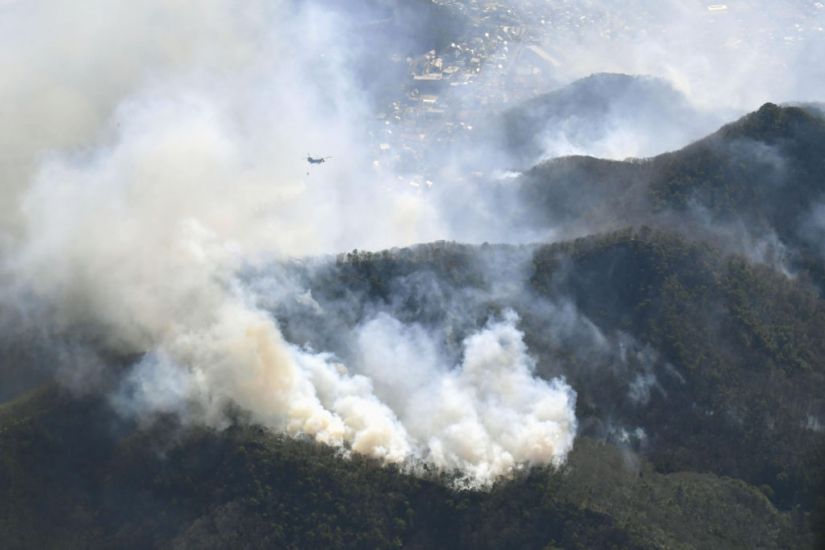 Firefighters Battle Forest Blazes In Japan