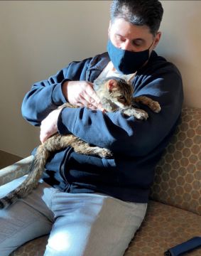 La Cat Reunited With Owner After Going Missing For 15 Years
