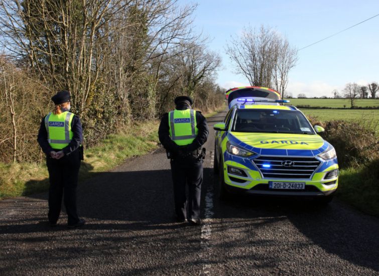 Gardaí Believe Axe Involved In Murder Of Brothers On Cork Farm