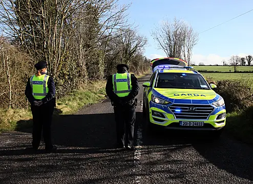 Gardaí Believe Axe Involved In Murder Of Brothers On Cork Farm
