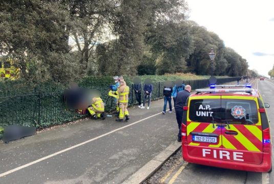 Fire Brigade Assist Person Who Was Impaled On Fence At Phoenix Park