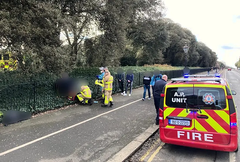 Fire Brigade Assist Person Who Was Impaled On Fence At Phoenix Park