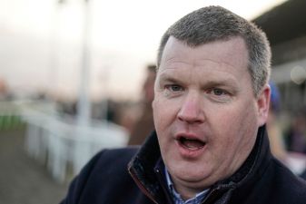 Gordon Elliott Apologises For Photo Of Him Posing On Dead Horse